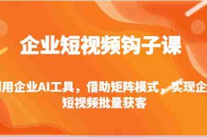 企业短视频钩子课-利用企业AI工具，借助矩阵模式，实现企业短视频批量获客