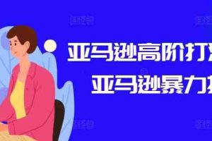 亚马逊高阶打法课，亚马逊暴力打法