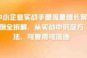中小企业实战手册流量增长案例全拆解，从实战中沉淀方法，可复用可落地