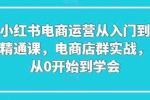 小红书电商运营从入门到精通课，电商店群实战，从0开始到学会