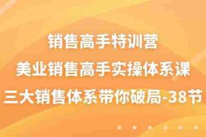 销售高手特训营，美业销售高手实操体系课，三大销售体系带你破局（38节）