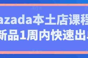 Lazada本土店课程，新品1周内快速出单