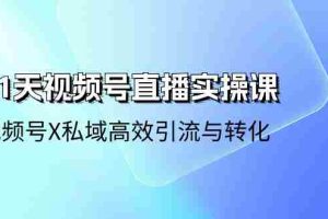 21天视频号直播实操课，视频号X私域高效引流与转化（22节课）