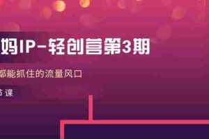 （11042期）宝妈IP-轻创营第3期，人人都能抓住的流量风口（21节课）