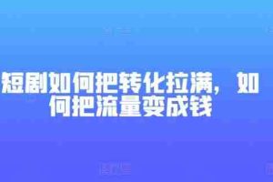 短剧如何把转化拉满，如何把流量变成钱