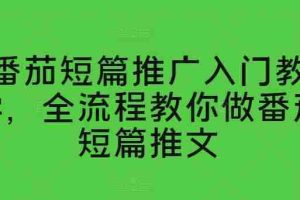 番茄短篇推广入门教学，全流程教你做番茄短篇推文