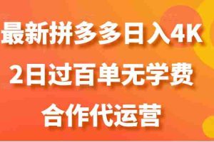 最新拼多多，日入4K+，2日过百单无学费，合作代运营