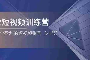 企业短视频训练营：打造一个盈利的短视频账号（21节）