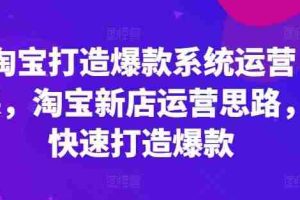 淘宝打造爆款系统运营课，淘宝新店运营思路，快速打造爆款