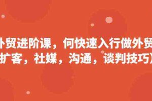 外贸进阶课，帮助你了解如何快速入行做外贸（扩客，社媒，沟通，谈判技巧）更新180节
