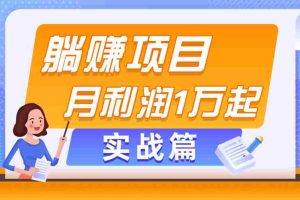（11322期）躺赚副业项目，月利润1万起，当天见收益，实战篇