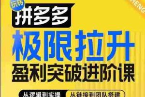 拼多多极限拉升盈利突破进阶课，​从算法到玩法，从玩法到团队搭建，体系化系统性帮助商家实现利润提升