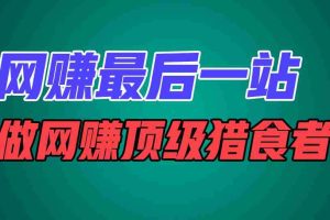 网赚最后一站，卖项目，做网赚顶级猎食者