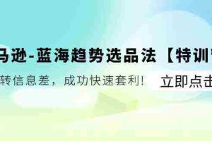 亚马逊蓝海趋势选品法【特训营】：玩转信息差，成功快速套利