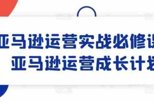 亚马逊运营实战必修课，亚马逊运营成长计划