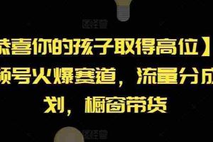 【恭喜你的孩子取得高位】AI视频号火爆赛道，流量分成计划，橱窗带货【揭秘】