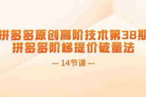 拼多多原创高阶技术第38期，拼多多阶梯提价破量法（14节课）