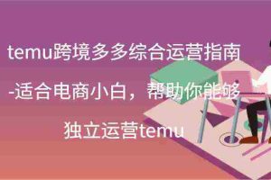 temu跨境多多综合运营指南-适合电商小白，帮助你能够独立运营temu(44节)