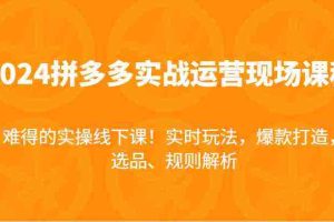 2024拼多多实战运营现场课，实时玩法，爆款打造，选品、规则解析，难得的实操线下课！