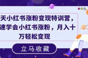19天小红书涨粉变现特训营，快速学会小红书涨粉，月入十万轻松变现