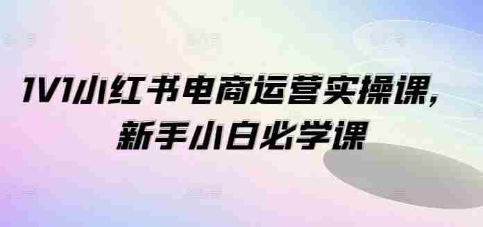 1V1小红书电商运营实操课，新手小白必学课
