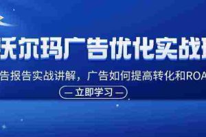 沃尔玛广告优化实战班，广告报告实战讲解，广告如何提高转化和ROAS等