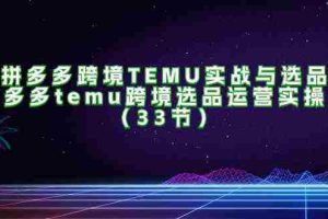 拼多多跨境TEMU实战与选品，多多temu跨境选品运营实操（33节）