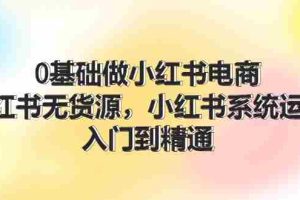 0基础做小红书电商，小红书无货源系统运营，入门到精通 (70节)