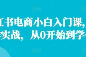 小红书电商小白入门课，店群实战，从0开始到学会