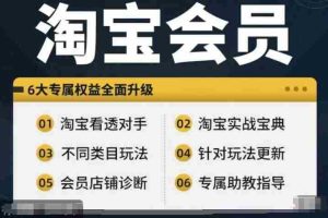 淘宝会员【淘宝所有课程，全面分析对手】，初级到高手全系实战宝典