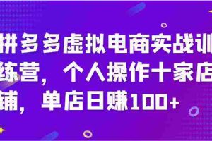 拼多多虚拟电商实战训练营，个人操作十家店铺，单店日赚100+