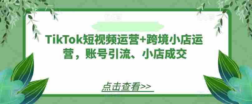 TikTok短视频运营+跨境小店运营，账号引流、小店成交