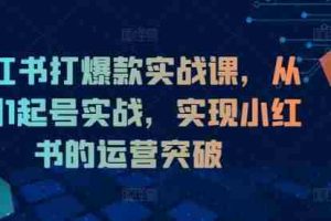 小红书打爆款实战课，从0到1起号实战，实现小红书的运营突破
