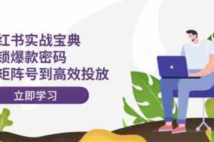 小红书实战宝典：解锁爆款密码，从矩阵号到高效投放