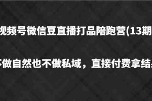 视频号微信豆直播打品陪跑(13期)，不做不自然流不做私域，直接付费拿结果