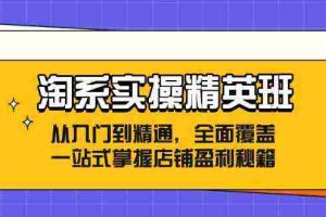 淘系实操精英班：从入门到精通，全面覆盖，一站式掌握店铺盈利秘籍
