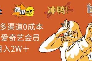 （12317期）2024多渠道0成本售卖爱奇艺会员月入2W＋