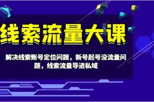 线索流量大课-解决线索账号定位问题，新号起号没流量问题，线索流量导进私域