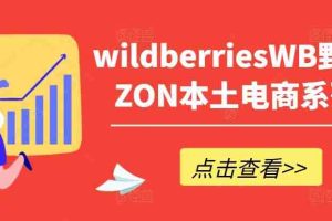 wildberriesWB野莓/OZON本土电商系列课，掌握WB产品优化，出单技巧和订单处理等