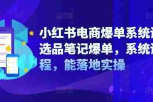 小红书电商爆单系统课，选品笔记爆单，系统课程，能落地实操