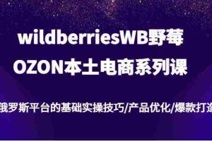 wildberriesWB野莓/OZON本土电商系列课，俄罗斯平台的基础实操技巧/产品优化/爆款打造
