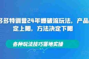 拼多多特训营24年爆破流玩法，产品决定上限，方法决定下限，各种玩法技巧落地实操
