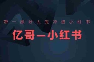 ​​带一部分人先冲进小红书，小红书开店、选品、爆款裂变