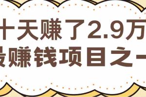 闲鱼小红书最赚钱项目之一，纯手机操作简单，小白必学轻松月入6万+