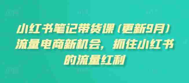 小红书笔记带货课(更新9月)流量电商新机会，抓住小红书的流量红利