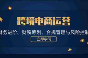 跨境电商运营：财务进阶、财税筹划、合规管理与风险控制