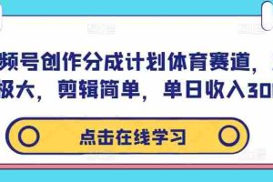 视频号创作分成计划体育赛道，流量极大，剪辑简单，单日收入300+