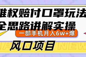 维权赔付口罩玩法，小白也能月入6w+，风口项目实操