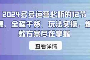 2024多多运营必听的12节课，全程干货，玩法实操，爆款方案尽在掌握