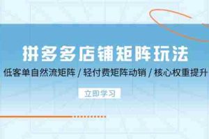 （12720期）拼多多店铺矩阵玩法：低客单自然流矩阵 / 轻付费矩阵 动销 / 核心权重提升